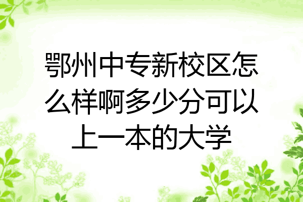 鄂州中专新校区怎么样啊多少分可以上一本的大学