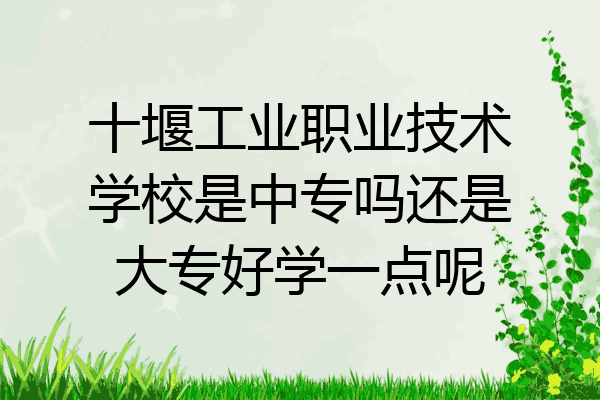 十堰工业职业技术学校是中专吗还是大专好学一点呢