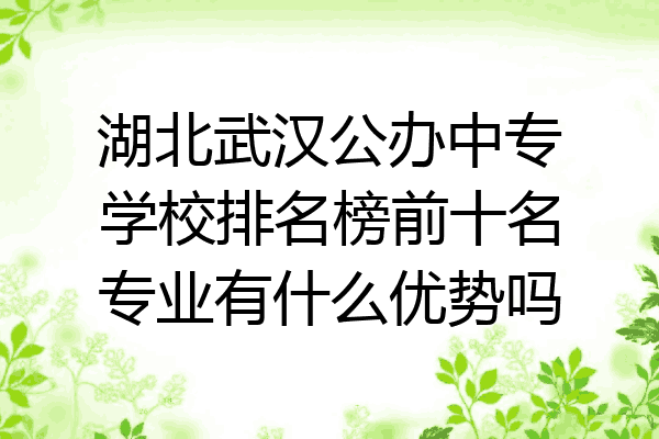 湖北武汉公办中专学校排名榜前十名专业有什么优势吗
