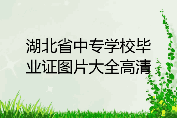 湖北省中专学校毕业证图片大全高清