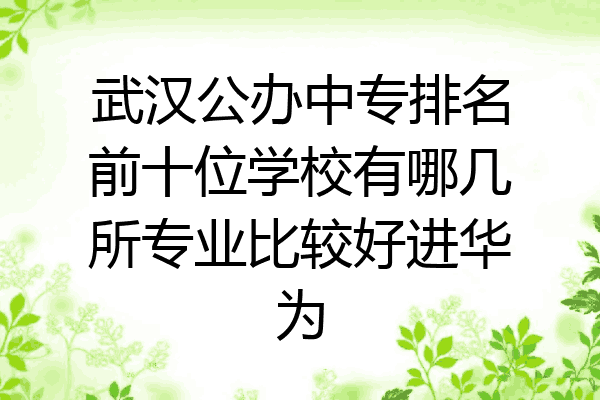 武汉公办中专排名前十位学校有哪几所专业比较好进华为