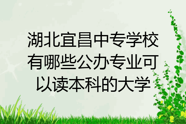 湖北宜昌中专学校有哪些公办专业可以读本科的大学