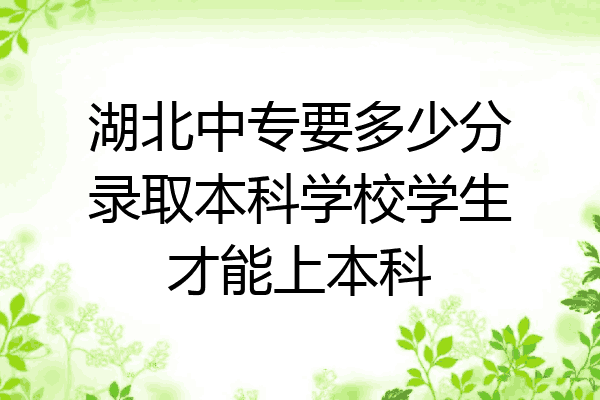 湖北中专要多少分录取本科学校学生才能上本科