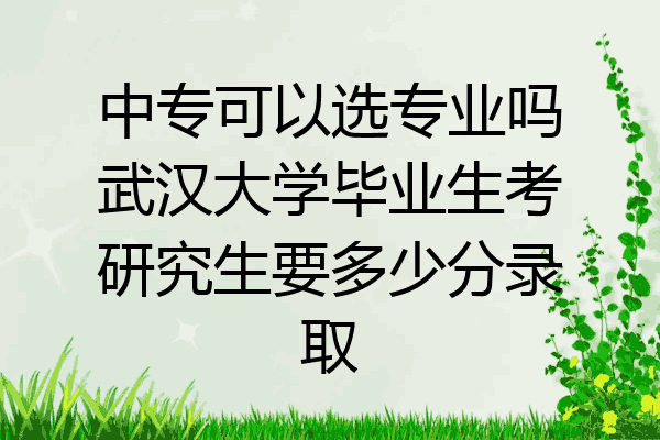 中专可以选专业吗武汉大学毕业生考研究生要多少分录取