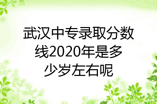 武汉中专录取分数线2020年是多少岁左右呢