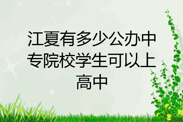 江夏有多少公办中专院校学生可以上高中