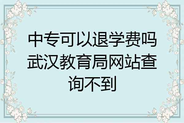 中专可以退学费吗武汉教育局网站查询不到