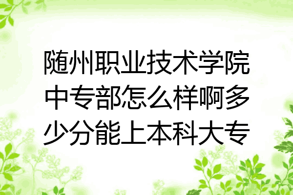 随州职业技术学院中专部怎么样啊多少分能上本科大专