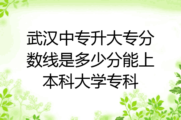 武汉中专升大专分数线是多少分能上本科大学专科
