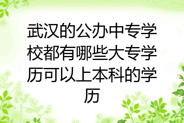 武汉的公办中专学校都有哪些大专学历可以上本科的学历