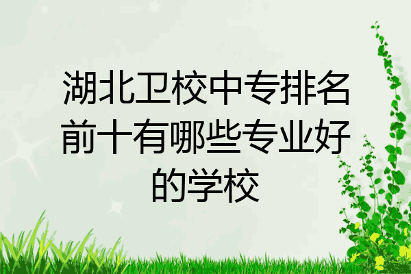 湖北卫校中专排名前十有哪些专业好的学校