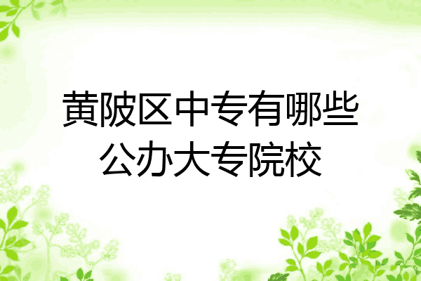 黄陂区中专有哪些公办大专院校