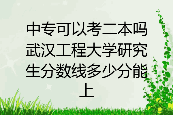 中专可以考二本吗武汉工程大学研究生分数线多少分能上