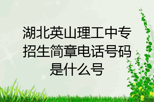 湖北英山理工中专招生简章电话号码是什么号