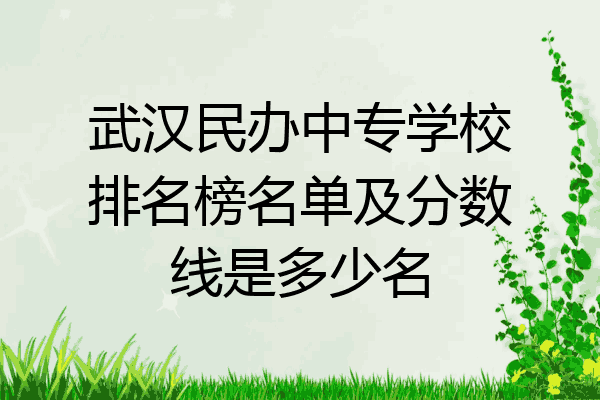 武汉民办中专学校排名榜名单及分数线是多少名