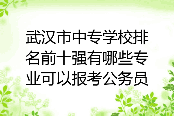 武汉市中专学校排名前十强有哪些专业可以报考公务员