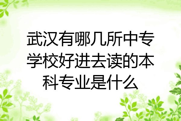 武汉有哪几所中专学校好进去读的本科专业是什么