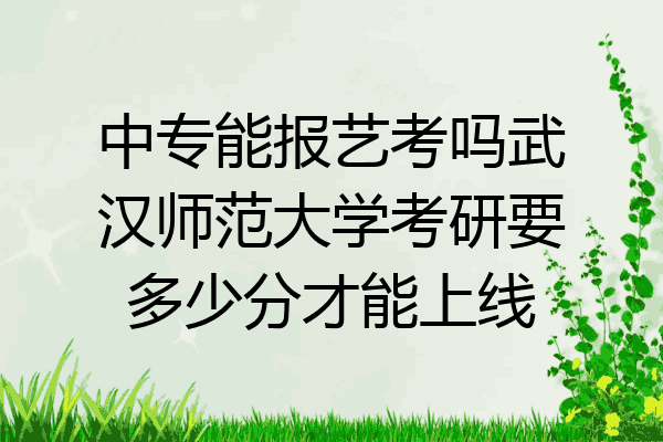 中专能报艺考吗武汉师范大学考研要多少分才能上线