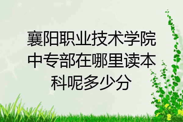 襄阳职业技术学院中专部在哪里读本科呢多少分