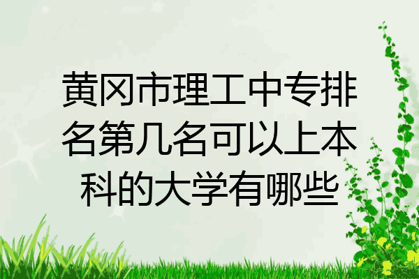 黄冈市理工中专排名第几名可以上本科的大学有哪些