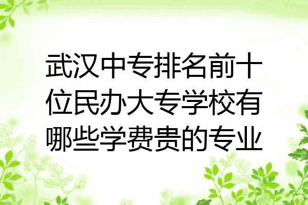 武汉中专排名前十位民办大专学校有哪些学费贵的专业