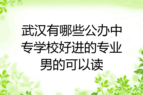武汉有哪些公办中专学校好进的专业男的可以读