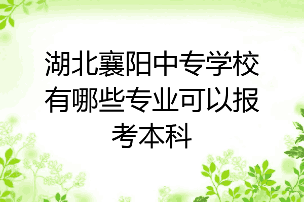 湖北襄阳中专学校有哪些专业可以报考本科