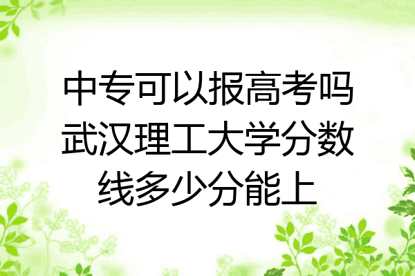 中专可以报高考吗武汉理工大学分数线多少分能上