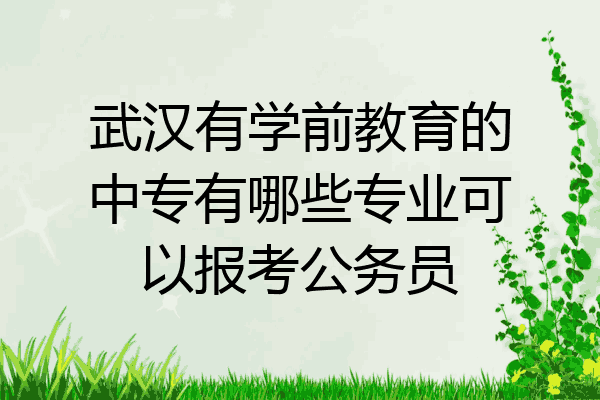 武汉有学前教育的中专有哪些专业可以报考公务员