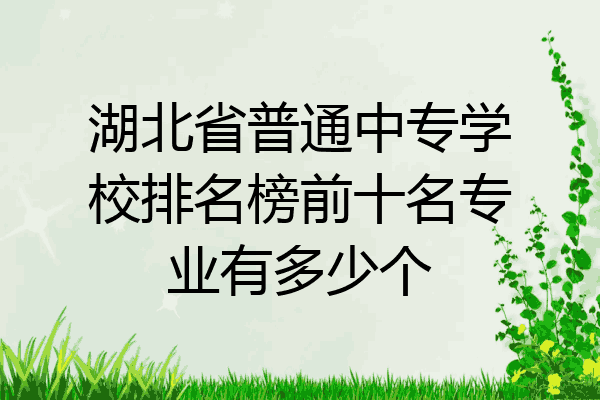 湖北省普通中专学校排名榜前十名专业有多少个