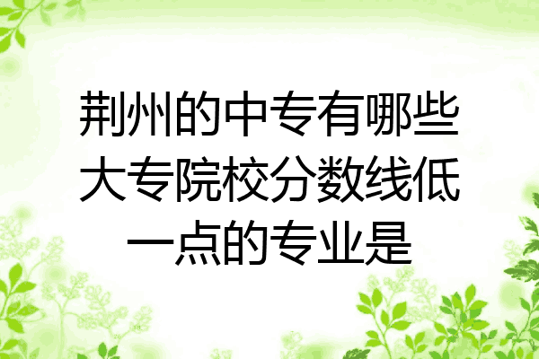 荆州的中专有哪些大专院校分数线低一点的专业是