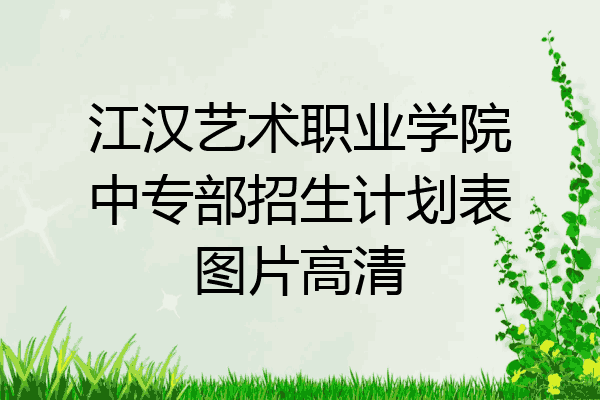 江汉艺术职业学院中专部招生计划表图片高清