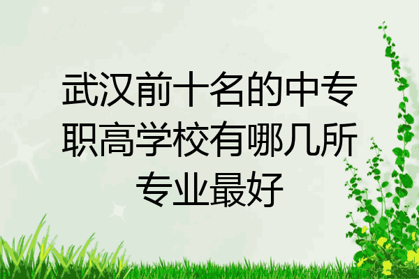 武汉前十名的中专职高学校有哪几所专业最好