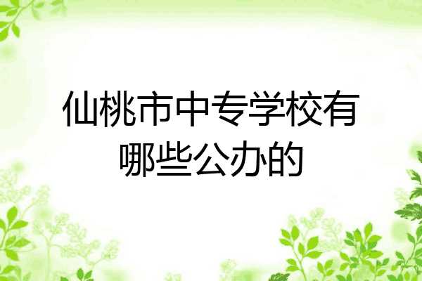 仙桃市中专学校有哪些公办的