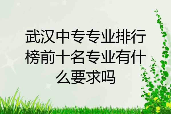 武汉中专专业排行榜前十名专业有什么要求吗