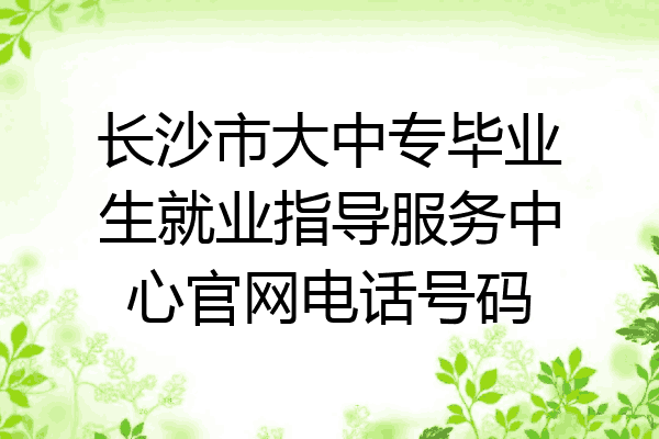 长沙市大中专毕业生就业指导服务中心官网电话号码