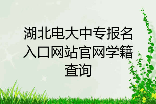 湖北电大中专报名入口网站官网学籍查询