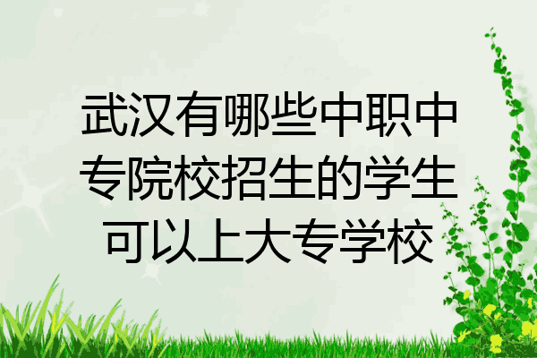 武汉有哪些中职中专院校招生的学生可以上大专学校
