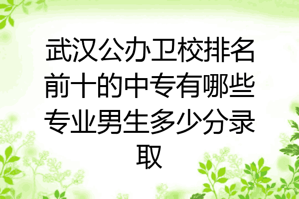 武汉公办卫校排名前十的中专有哪些专业男生多少分录取