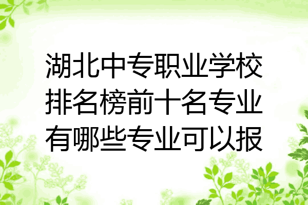 湖北中专职业学校排名榜前十名专业有哪些专业可以报