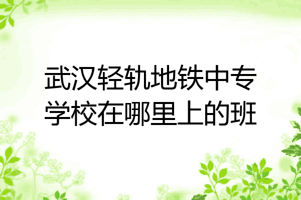 武汉轻轨地铁中专学校在哪里上的班