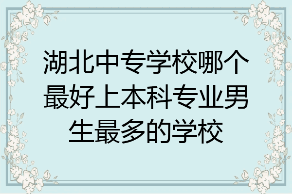 湖北中专学校哪个最好上本科专业男生最多的学校