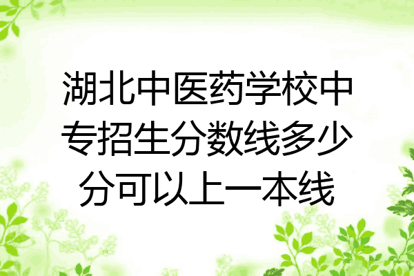 湖北中医药学校中专招生分数线多少分可以上一本线