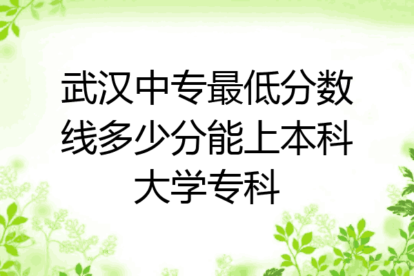 武汉中专最低分数线多少分能上本科大学专科