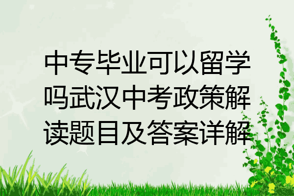 中专毕业可以留学吗武汉中考政策解读题目及答案详解