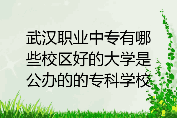 武汉职业中专有哪些校区好的大学是公办的的专科学校