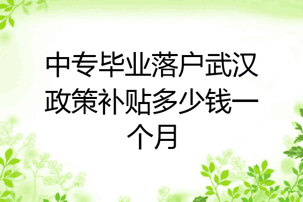 中专毕业落户武汉政策补贴多少钱一个月