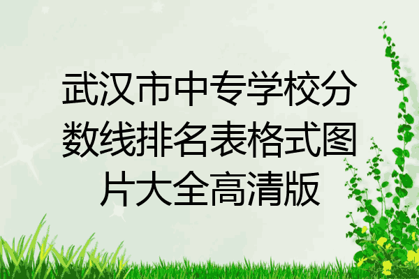 武汉市中专学校分数线排名表格式图片大全高清版