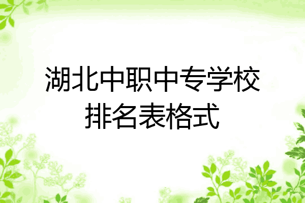 湖北中职中专学校排名表格式