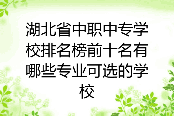 湖北省中职中专学校排名榜前十名有哪些专业可选的学校